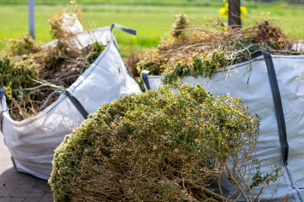 Best Shed Removal  in Bruceton, TN